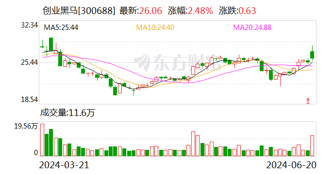 創(chuàng)業(yè)黑馬：6月20日回購(gòu)股份113700股  第1張