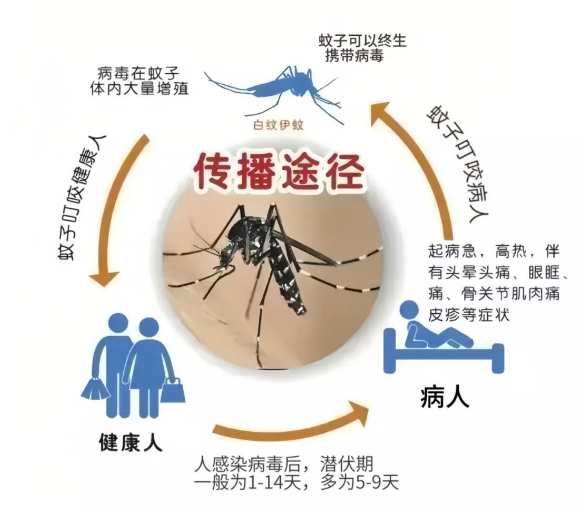 最新“蚊子地圖”發(fā)布，涉及廣州22個鎮(zhèn)街