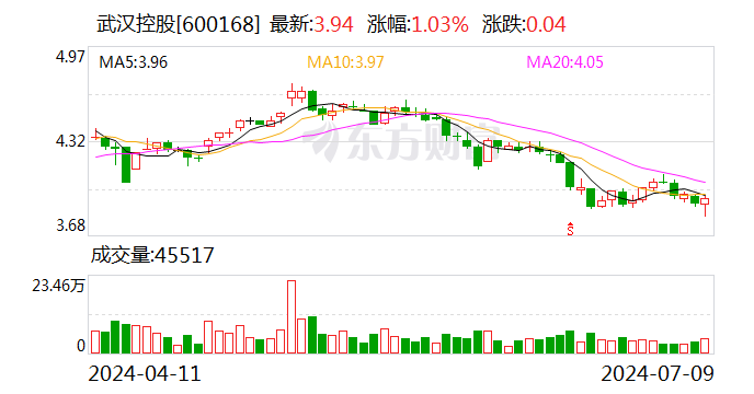 武漢控股：2024年上半年凈利同比預降74.48%-82.89%