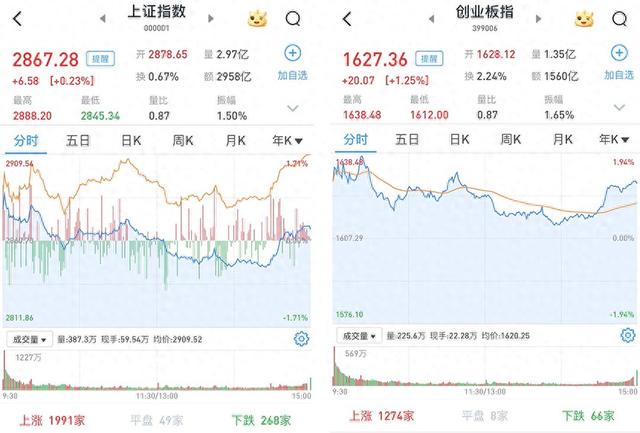 A股縮量震蕩收漲，4765股飄紅，教育板塊大幅上漲