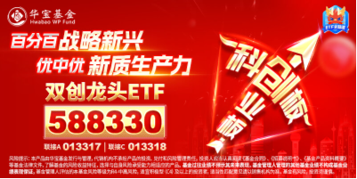 光伏雄起的原因或已找到！陽(yáng)光電源漲超6%，硬科技寬基——雙創(chuàng)龍頭ETF（588330）最高上探1．43%