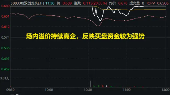 主力資金大舉加碼權(quán)重板塊，雙創(chuàng)龍頭ETF（588330）封死漲停板，標(biāo)的指數(shù)近9成成份股漲超10%！