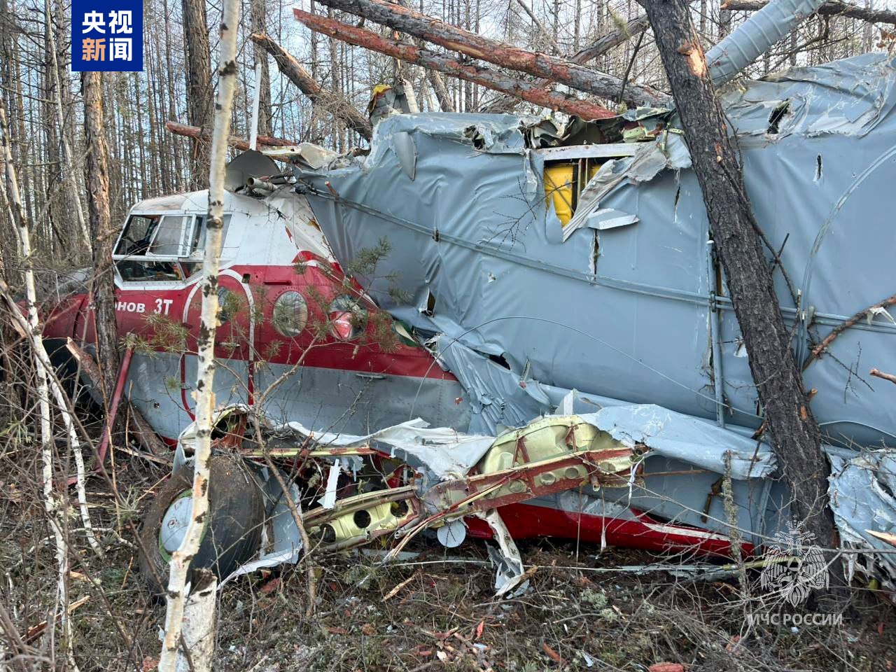 俄羅斯一架安-3飛機(jī)緊急迫降 1人死亡  第1張