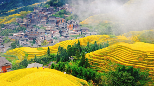 “雙十一”來了｜首批囤旅游的人已出發(fā)，降溫后秋冬季老年游升溫